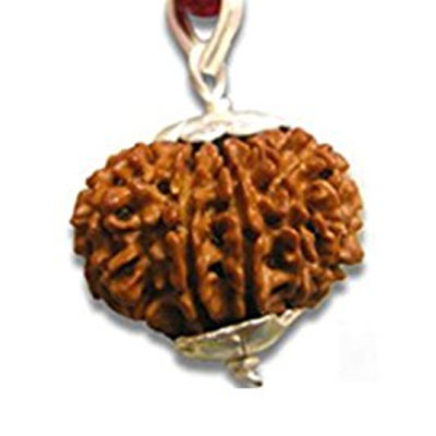 barah-mukhi-rudraksha-silver-cap-pendant