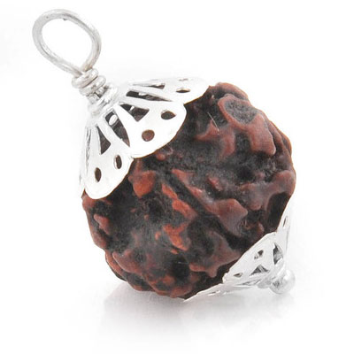 nau-mukhi-rudraksha-silver-cap-pendant